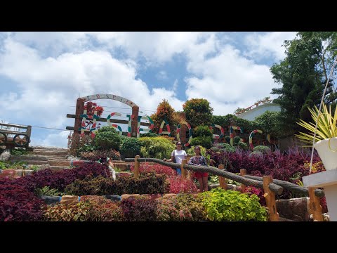Sirao Garden, Little Amsterdam of Cebu, Philippines || April 2021