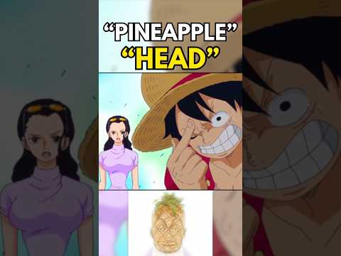 Only Robin understands Luffy’s DUMB brain