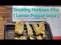 Video Thumbnail for Smoking Northern Pike ( Lemon Pepper Brine )