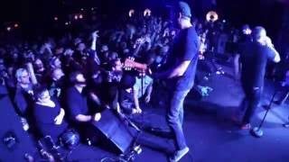 Bear vs Shark Live in Grand Rapids MI