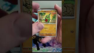 Prismatic Opening Day 14! #pokemoncards #pokemontcg #pokemon #pikachu #pikachu #collection #shorts