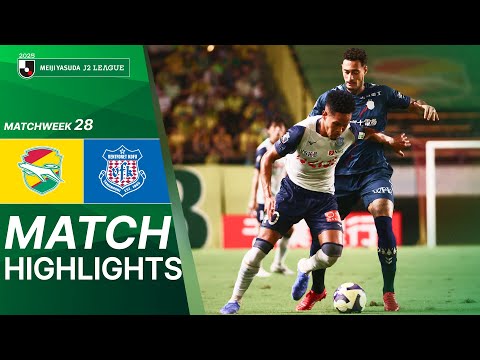 bg-highlight