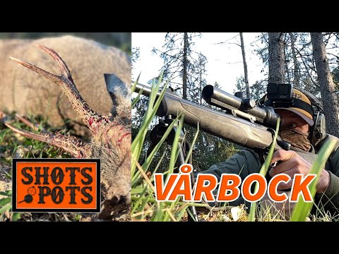 VÅRBOCKSJAKT - Lubbe ger sig ut för att skjuta en råbock