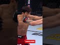 DOUBLE KNOCKDOWN Shorts