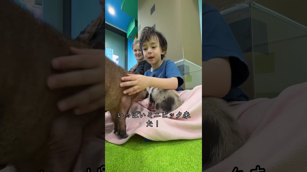 8 августа 2025 г.