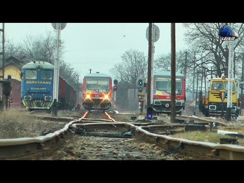 Trenuri & Activitate Feroviară/Trains & Rail Activity in Gara Săcuieni Bihor Station 29 January 2020