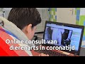 Dierenarts in coronatijd: operatiewond van hond Laila gecontroleerd via videoverbinding