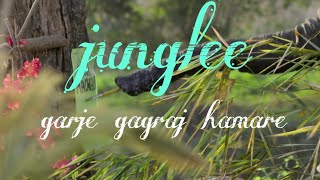 Junglee: Garje Gajraj Hamare |Vidyut J| Navraj H,Hamsika,Gulshan K|Sameer Uddin| Radhika R |Vinay S