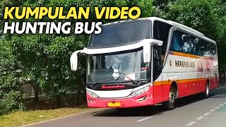 Download lagu Kumpulan Video Hunting Bus ❗ HARAPAN JAYA, SAHAALAH, GUNUNG HARTA, KRAMAT DJATI, BUDIMAN, MURNI JAYA mp3 Download lagu Kumpulan Video Hunting Bus ❗ HARAPAN JAYA, SAHAALAH, GUNUNG HARTA, KRAMAT DJATI, BUDIMAN, MURNI JAYA mp3