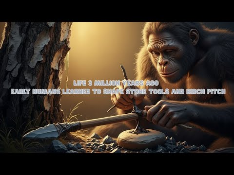 Life 3 Million Years Ago  Early Humans Learned to Shape Stone Tools and Birch Pitch