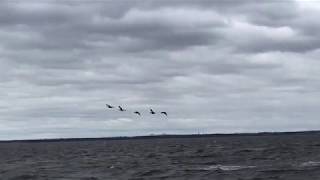 "an ode to mothers" (too small for eyes)