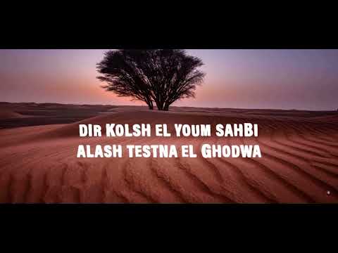 Didine Canon 16 x LARGO Solomente (vidéo Lyrics)