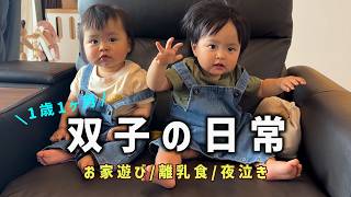 【双子vlog】1歳1ヶ月のカオスな日常を観察してみた