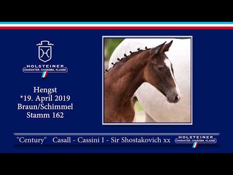 Holsteiner Elite-Fohlenauktion 2019 - Nr. 04 Century v. Casall-Cassini I