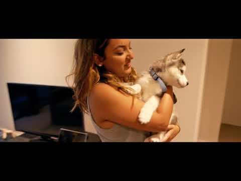 DJ Sayem - Love you longer | Official Music Video | Trip to Snow Mountains