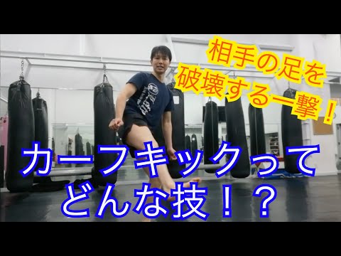 『カーフキックの有用性について』キックボクシングしましょねー