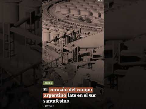 El corazón del campo argentino late en el sur santafesino