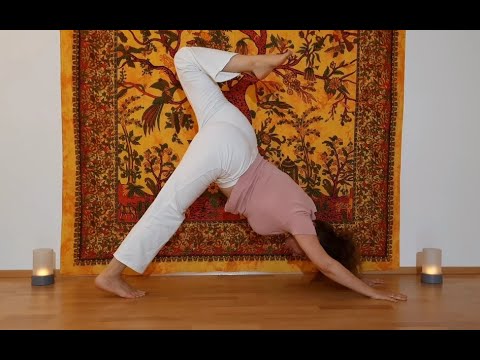 Workout Yoga Flow - Dreiecks Variationen - Asana: nach unten  / nach oben schauender Hund