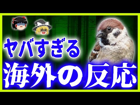 IUCN分類における絶滅の危険性を示す図。