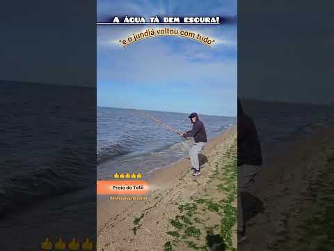 O jundiá voltou com tudo na Lagoa dos Patos! #fishing #shorts #pescaria #pescador #viral