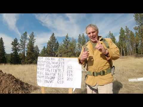 Concealed Carry: 38 Special Ammo Selection (Featuring Hornady Critical Defense Lite)