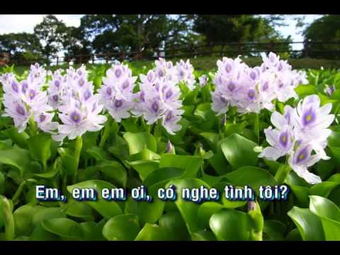 Tìm nhau Sheet - Thanh Duyên