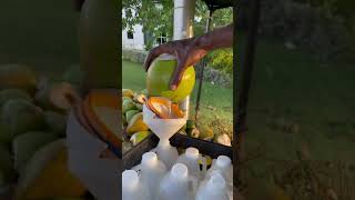 🇧🇧 Coconut Water Fountain in Barbados #shorts