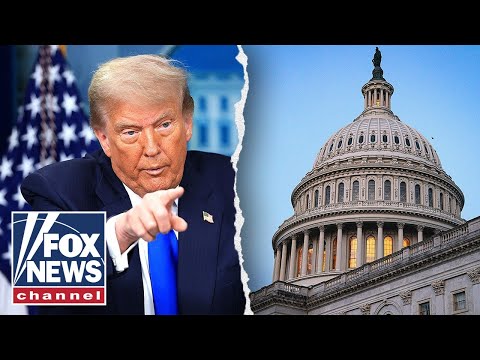 'WHATEVER IT TAKES': National Guard could be deployed in DC