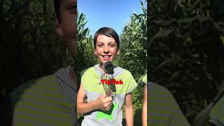 Schwiizergoofe Musikvideo - Sei auch du dabei