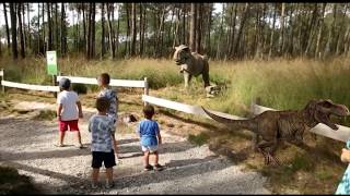 Irai dinosauroekin