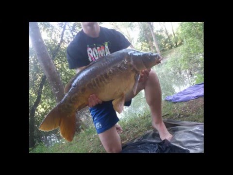 pêche surface de la carpe au pain