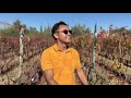 Bruno Green - Campeón (Video Oficial)