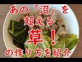 「沼」超え?!TS必殺の減量食「草」の作り方を紹介!