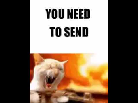 Pack-a-Punch Jingle (Cat Edition)