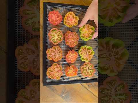 Self-Sufficient Food: Dehydrating Tomatoes & Herbs
