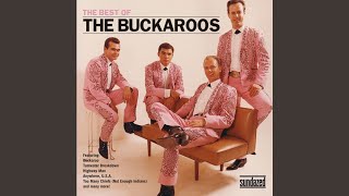 Moonlight on the Desert