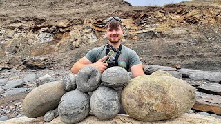 These Giant Stones Were Sealed for 185 Million Years – Here’s What We Found Whilst Fossil Hunting!