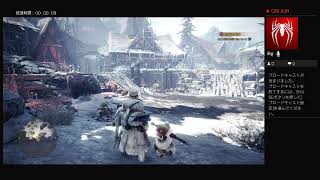 PS4 MHWアイスボーンやる