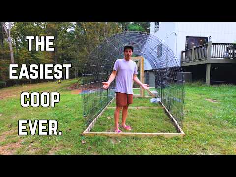 I tried building a Hoop Coop (IT'S AWESOME)