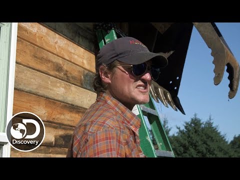 基爾徹-哈斯｜阿拉斯加。最後的邊疆 (Kilcher Khaos | Alaska: The Last Frontier)