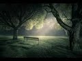 Musik Relaksasi Romantis, Nyaman dan Damai Musik Relaksasi Romantis, Nyaman dan Damai