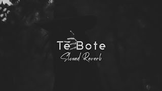 Download lagu Te Bote (Slowed Reverb) Casper & Darell Ozuna mp3 Download lagu Te Bote (Slowed Reverb) Casper & Darell Ozuna mp3