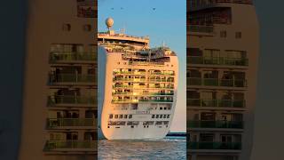 P&O Ventura 🛳️ #travel #subscribe #comment #cruise #vacation #shortvideo #shortsvideo #shorts #yt