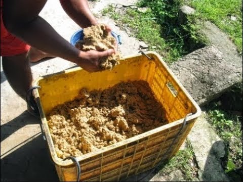 Cara menghapus perut dan panggul tidak kehilangan berat badan di rumah Video menurunkan berat badan mereka sendiri