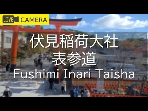 伏見稲荷大社 表参道のライブカメラ映像