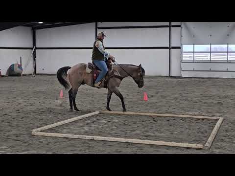 Trinity Trail Events Novice December 2024. Richard Hames and LS Mr Blue Jack.