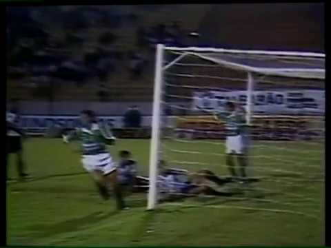 Ponte Preta 0x 1 Palmeiras - Campeonato Paulista 1993