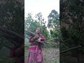 Shri Narendra Singh Negi Ji Ke Superhit Geet Hai Teri Meri Maya Ka Geet Geetaphogat Gajrajrao