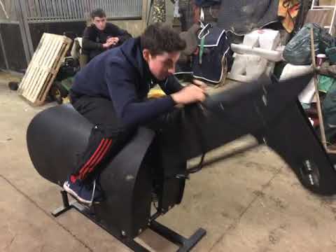 Equicizer Sessions - Rex Dingle.