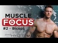 5 Bicep Defining Exercises - Rob Riches